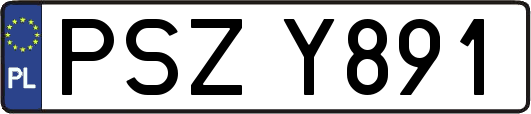PSZY891
