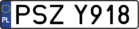 PSZY918