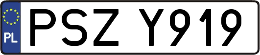 PSZY919