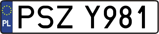 PSZY981