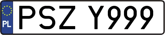 PSZY999