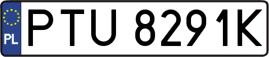 PTU8291K
