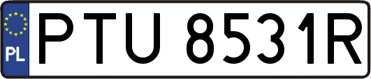 PTU8531R