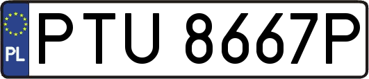 PTU8667P