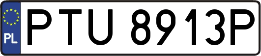 PTU8913P