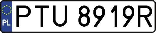 PTU8919R