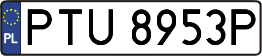 PTU8953P