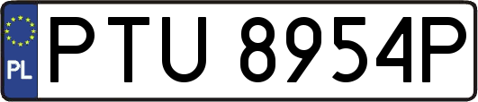 PTU8954P
