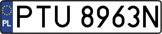 PTU8963N