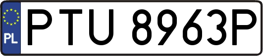 PTU8963P