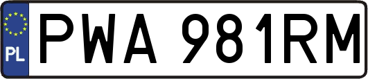 PWA981RM