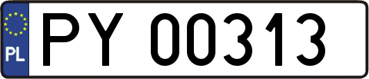 PY00313