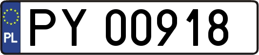 PY00918