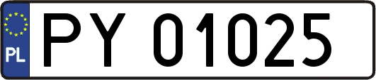 PY01025