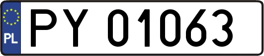 PY01063