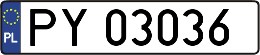 PY03036