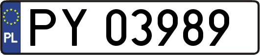 PY03989