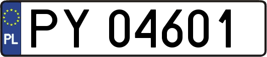 PY04601