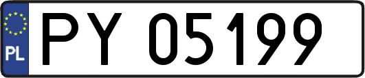 PY05199