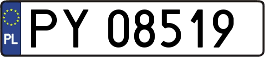 PY08519