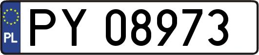 PY08973