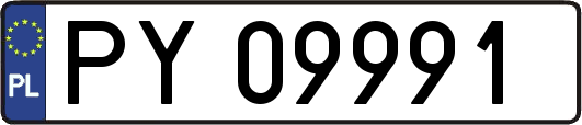 PY09991