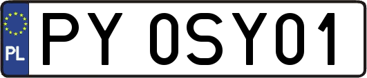 PY0SY01