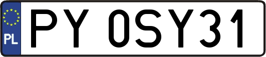 PY0SY31