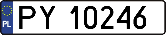 PY10246