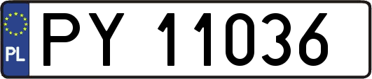 PY11036