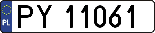 PY11061