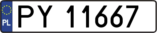 PY11667