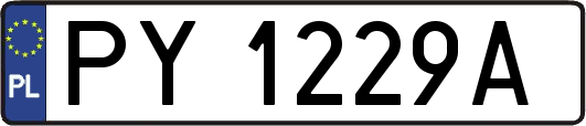 PY1229A