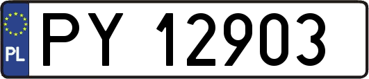 PY12903