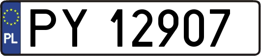 PY12907