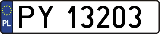 PY13203