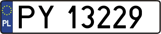 PY13229