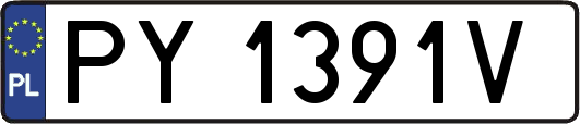 PY1391V