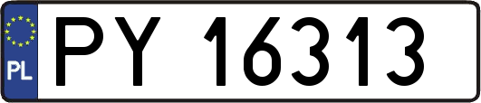 PY16313