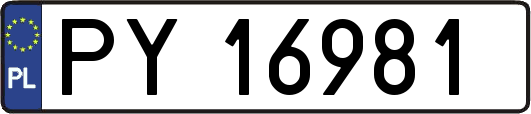 PY16981