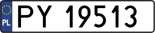 PY19513