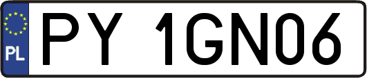 PY1GN06