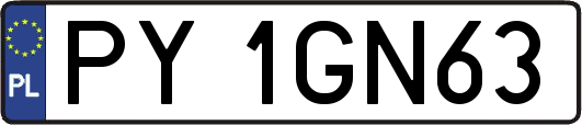 PY1GN63