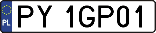 PY1GP01