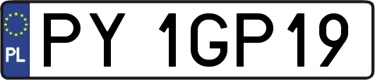 PY1GP19
