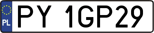 PY1GP29