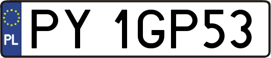 PY1GP53