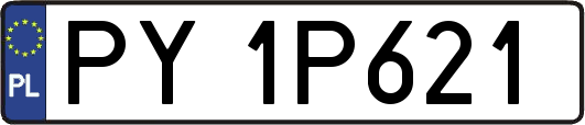 PY1P621