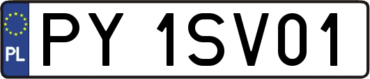PY1SV01