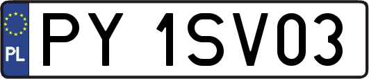 PY1SV03
